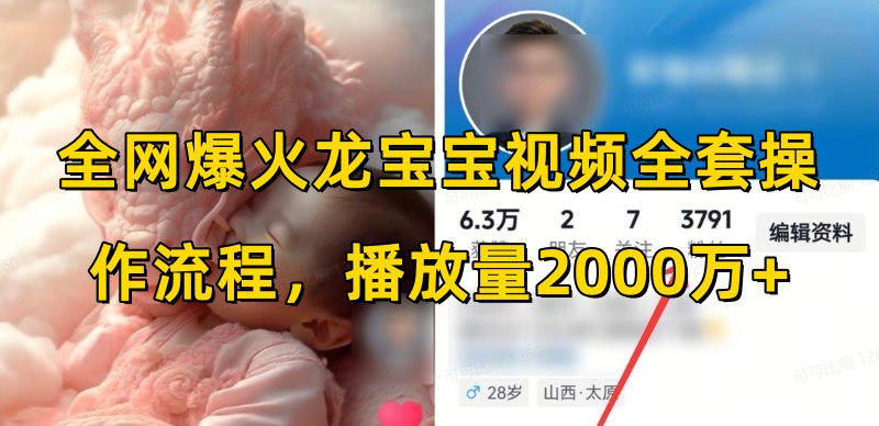 全网爆火龙宝宝视频全套操作流程，播放量2000万+_网创资源库