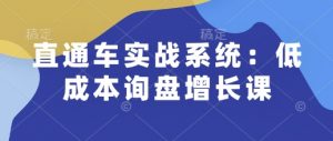 直通车实战系统：低成本询盘增长课，让个人通过技能实现升职加薪，让企业低成本获客，订单源源不断_网创资源库