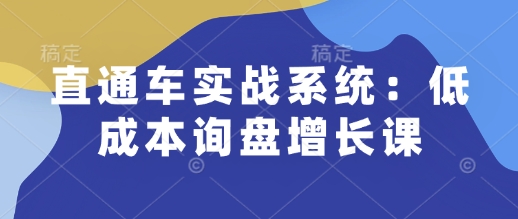 直通车实战系统：低成本询盘增长课，让个人通过技能实现升职加薪，让企业低成本获客，订单源源不断_网创资源库
