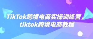 TikTok跨境电商实操训练营，tiktok跨境电商教程_网创资源库