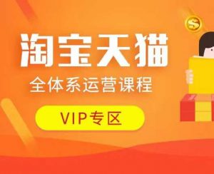 淘宝天猫全体系运营课程：店铺全系运营、动销玩法、付费推广、流量提升、擦边球玩法等等_网创资源库