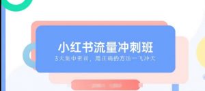 小红书流量冲刺班2025，最懂小红书的女人，快速教你2025年入局小红书_网创资源库