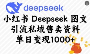 小红书Deepseek图文引流私域售卖资料，单日变现多张_网创资源库