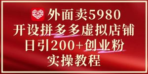 外面卖5980开设拼多多虚拟店铺：单日引流200+创业付费粉实战教程_网创资源库