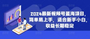 2024最新视频号蓝海项目，简单易上手，适合新手小白，收益长期稳定_网创资源库