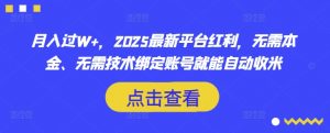 月入过W+，2025最新平台红利，无需本金、无需技术绑定账号就能自动收米_网创资源库
