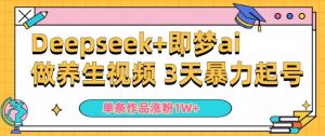 小白用DeepSeek+即梦做ai养生视频，一条作品涨粉5万+，单日收益多张_网创资源库