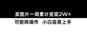 小红书【卖图片】一周累计变现2W+小白易上手_网创资源库