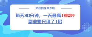副业她只用了1招，每天30分钟，无脑二创，一天最高1.5k_网创资源库