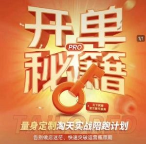 淘宝开单秘籍PRO，量身定制淘天实战陪跑计划，告别做店迷茫、快速突破运营瓶颈期_网创资源库