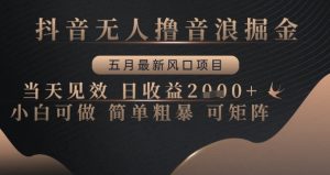 抖音无人撸音浪掘金，五月最新风口项目，当天见效，日收益多张，小白可做简单粗暴可矩阵【揭秘】_网创资源库