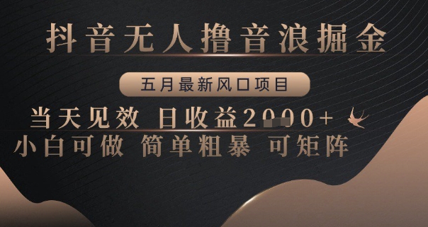 抖音无人撸音浪掘金，五月最新风口项目，当天见效，日收益多张，小白可做简单粗暴可矩阵【揭秘】_网创资源库