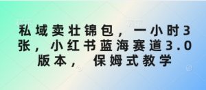 私域卖壮锦包，一小时3张，小红书蓝海赛道3.0版本， 保姆式教学_网创资源库