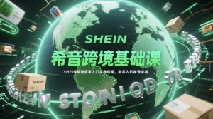 希音跨境基础课，SHEIN希音卖家入门实操指南，新手入坑希音必看_网创资源库