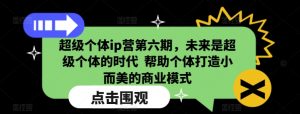超级个体ip营第六期，未来是超级个体的时代  帮助个体打造小而美的商业模式_网创资源库