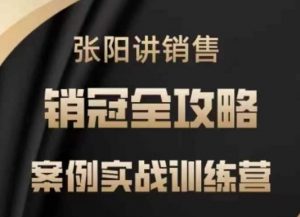 张阳讲销售实战训练营，​案例实战训练，销冠全攻略_网创资源库