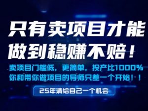 只有卖项目才能做到稳挣不赔，门槛低，更简单，你也可以年入百个W【揭秘】_网创资源库