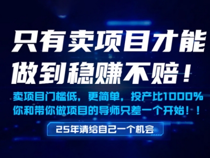 只有卖项目才能做到稳挣不赔，门槛低，更简单，你也可以年入百个W【揭秘】_网创资源库