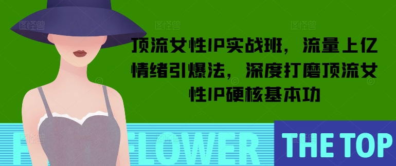 顶流女性IP实战班，流量上亿情绪引爆法，深度打磨顶流女性IP硬核基本功_网创资源库