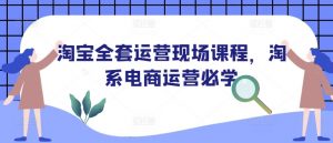 淘宝全套运营现场课程，淘系电商运营必学_网创资源库