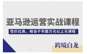 亚马逊运营实战课程，亚马逊从入门到精通，性价比高，相当于市面万元以上元课程_网创资源库