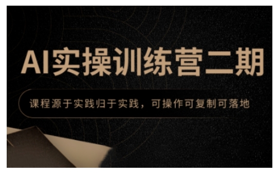 AI实操训练营二期，课程源于实践归于实践，可操作可复制可落地_网创资源库