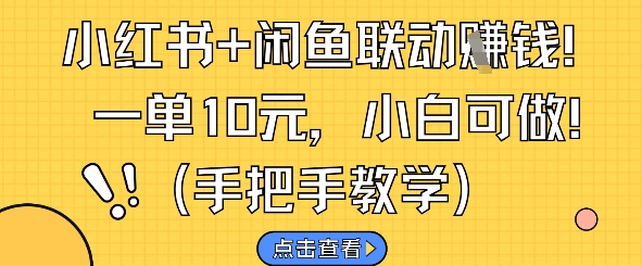 小红书+闲鱼联动挣钱，一单10元，小白可做_网创资源库