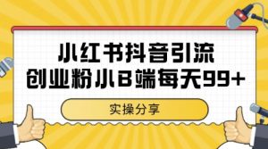小红书抖音创业粉，小B端粉自热，日引99+的一个玩法【揭秘】_网创资源库