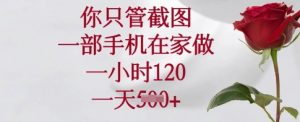 你只管截图，一部手机在家做，一小时120.一天5张【揭秘】_网创资源库