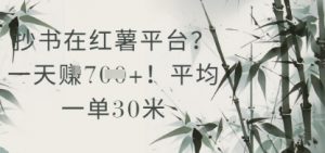 抄书在小红薯平台？平均一单30米，一天收益几张！_网创资源库