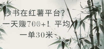 抄书在小红薯平台？平均一单30米，一天收益几张！_网创资源库