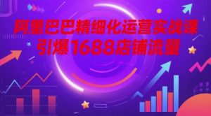 阿里巴巴精细化运营实战课，引爆1688店铺流量_网创资源库