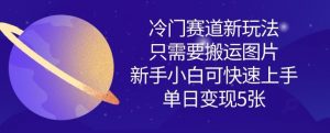 冷门赛道新玩法，只需要搬运图片，新手小白可快速上手，单日变现多张_网创资源库