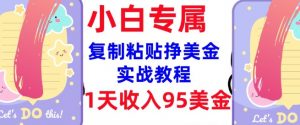 复制粘贴挣美金，0门槛，1天收入95美刀，3分钟学会，内部教程(首次公开)_网创资源库