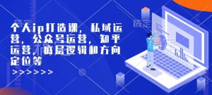 个人ip打造课，私域运营，公众号运营，知乎运营，底层逻辑和方向定位等_网创资源库
