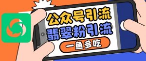 公众号利用推荐流量和搜一搜流量引流翡翠粉，一鱼多吃_网创资源库