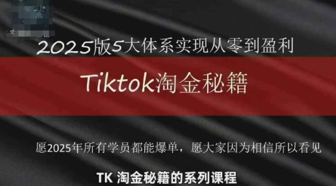 TikTok跨境2025淘金秘籍，​2025TikTok从0到盈利变现_网创资源库
