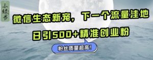 微信生态新宠小绿书：下一个流量洼地，日引500+精准创业粉，粉丝质量超高_网创资源库