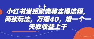 小红书发短剧完整实操流程，两张玩法，万播40，爆一个一天收收益上千_网创资源库