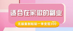 适合在家做的副业，小红书冷知识账号，无脑复制粘贴一单变现300_网创资源库