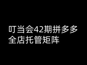 叮当会拼多多打爆班原创高阶技术第42期，拼多多全店托管矩阵_网创资源库