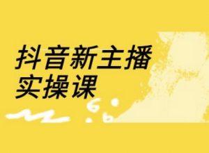 抖音新主播实操课，直播间流量运营线上实操课(18节)_网创资源库