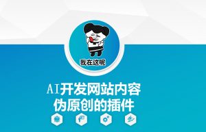 AI开发网站内容伪原创的插件，从零开始手把手教学_网创资源库
