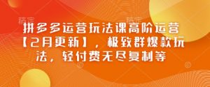 拼多多运营玩法课高阶运营【2月更新】，极致群爆款玩法，轻付费无尽复制等_网创资源库