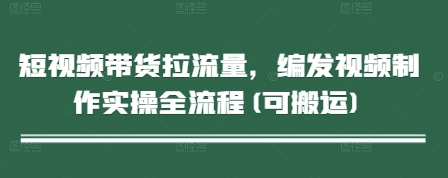 短视频带货拉流量，编发视频制作实操全流程(可搬运)_网创资源库