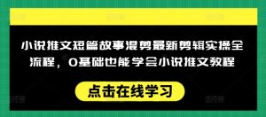 小说推文短篇故事混剪最新剪辑实操全流程，0基础也能学会小说推文教程，肯干多发日入多张_网创资源库