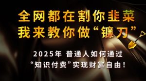 全网都在割你韭菜，我来教你做镰刀，2025普通人如何通过知识付费，实现财F自由【揭秘】_网创资源库