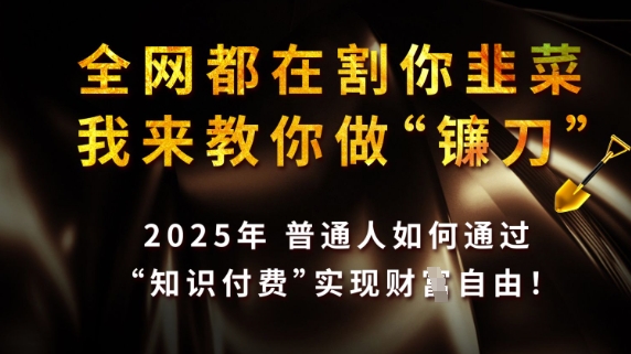 全网都在割你韭菜，我来教你做镰刀，2025普通人如何通过知识付费，实现财F自由【揭秘】_网创资源库