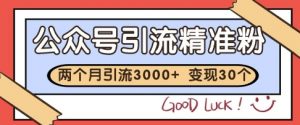 公众号精准粉引流玩法，2个月3000+精准粉，变现30个W【揭秘】_网创资源库