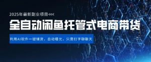 【闲鱼全自动电商带货】三年磨一剑，一朝露锋芒，长期稳定项目，单日稳定变现5张【揭秘】_网创资源库